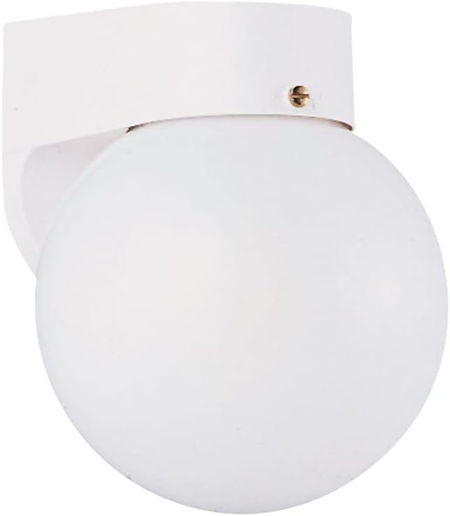 Generation Lighting 8753-15 1-Light Outdoor Wall Series Traditional Outdoor Wall Lamp White 8753-15, Lovely Wall Lamp for Outdoor Decor, Wall Light Fixture Uses Standard or LED Light Bulb