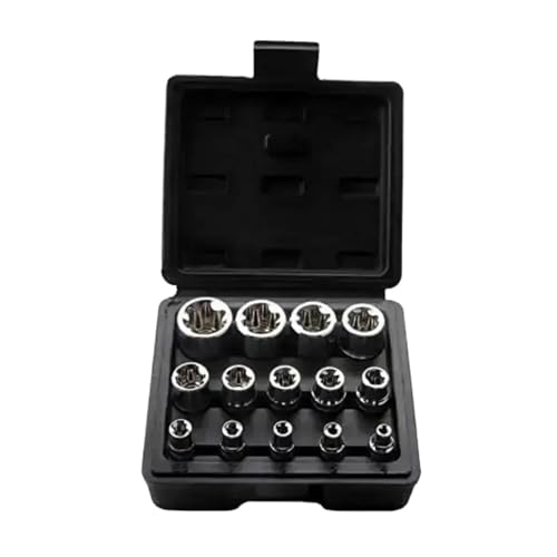 Set de 14 piezas dados Female E Torx con estuche