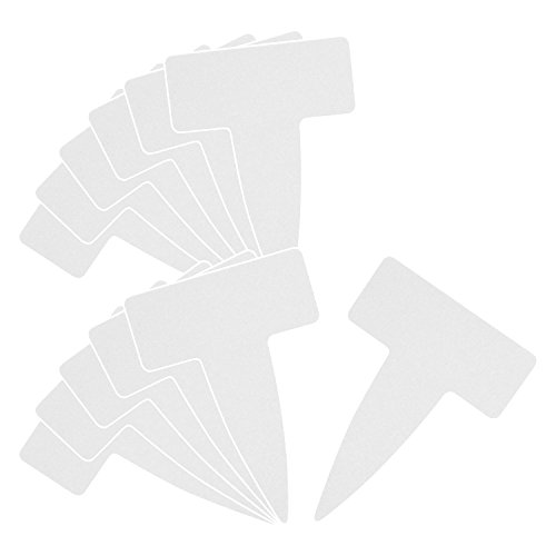 ZteB[3(Safety-3) |px T^ 12 