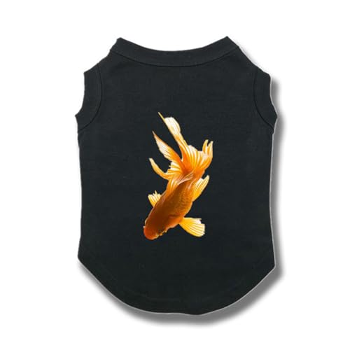 [QINTIW] hbOEFA LbgEFA t ybgpi p Lp Ck lR JWA 킢   sVc  ubN 畆ی hbOEGA EFA ^ S h~ _炩 ʋC Lk