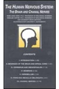 The Human Nervous System: The Brain and Cranial Nerves Videotape ...