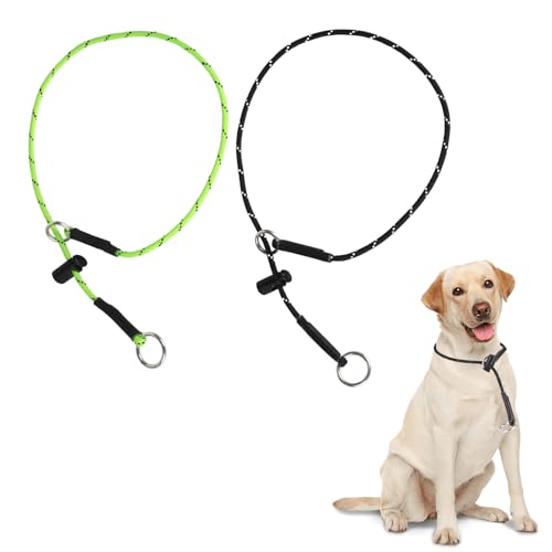 22' Dog Slip Collar &ndash; 5/32' Paracord Rope Dog Collar with Spring-Loaded Stopper & Stainless Steel...