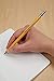 ProFolio by Itoya, PaperSkater Pointkeeper Pencil - Mechanical Pencil
