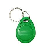 Chiptyp: T5577 em4305 Jolsaawie 100 Stück EM4305 T5577 Kopie, wiederbeschreibbar, mit doppeltem RFID-Etikett, Kopie, 125 kHz, Identifikationskarte, Schlüsselanhänger, Grün