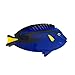 Fantasy Blue Tang Fish Hair Clip,Acetate Claw Clips,Big Hair Clips for Women,Funny Hair Clips for Girl