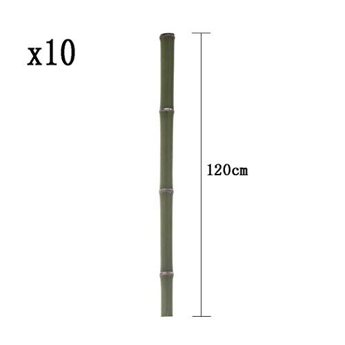 Treillis de Bambou Extensible Pliable 10 Poteaux Barrière Modulable - 7