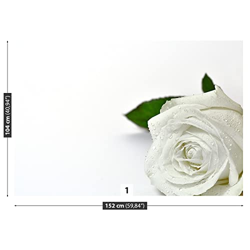 Papier peint rose blanche 152x104cm protection murale et bricolage maison