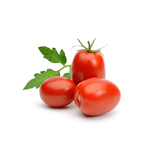 Creative Farmer Vegetable Seeds Non-Hybrid Tomato Plant Seeds - Tomato Oval Seeds Seeds For Planting Home Garden Seeds (B07N4714WY) Amazon Price History, Amazon Price Tracker