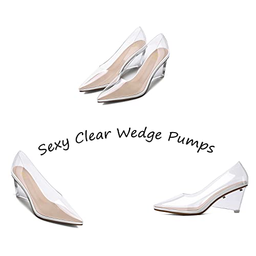 LEHOOR Women Clear Wedge Heel Pumps Pointed Toe Transparent Wedge Heels Slip On Sexy Dress Wedges Shoes Sandals Pointy Closed Toe Fashion Party Evening Wedding High Heels 3 Inch Size 8 M US2
