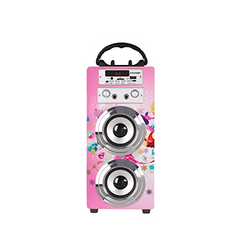 Karaoke Bluetooth