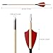 EinMAIQi 12 Pcs Bamboo and Wooden Feather Arrows Stainless Steels Tips, 13 Inch Handmade Wooden Arrow for Mini Compound Bow Mini Recurve Bow Mini Hunting Bow Arrows Set (Red)