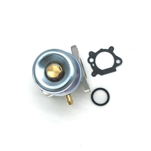 Carburateur 625 Briggs Stratton 6150 pour l'entretien de votre pelouse d'été