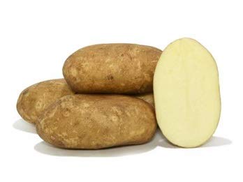 Patata de siembra Kennebec - Bandeja de 100 unidades