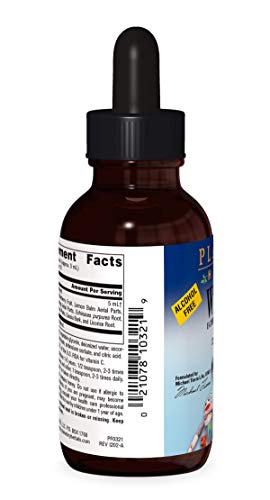 Planetary Herbals Well Child, Alcohol Free 5 Ml Echinacea-Elderberry Herbal Syrup,Brown Bottle,2 Fl Oz (Pack Of 1),Pf0321 #TOP1