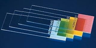 ColorFrost* Disposable Microscope Slides, Size: 25 x 75mm; Frost Color: Green [ 1 Pack(s)]