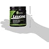 NutraKey Leucine, 150 Gram