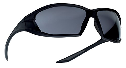 RANGER - RANGER - Lente de PC ahumada antirrayado y antivaho - Bolsa de microfibra y funda de transporte Cover