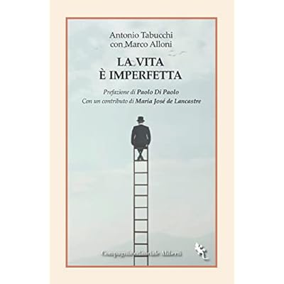 La vita &egrave; imperfetta