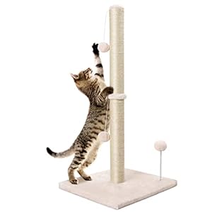 Dohump Rascador para Gatos de Poste, 84cm Alto Artiglio Dell’interno Scratcher con Premium Corda di Sisal Naturale, Base Pesante Ricoperta Morbida Peluche Liscia per i Gattini, Beige