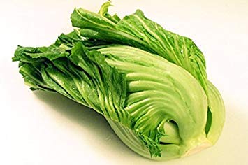 Potseed 500: Cinese Senape Indiana (GAI Choy, GAI Choi) Semenza di Cavolo