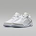 Jordan Spizike Low Men's Shoes (FQ1759-103, White/Metallic Silver/Barely Blue/Neutral Grey) Size 10.5
