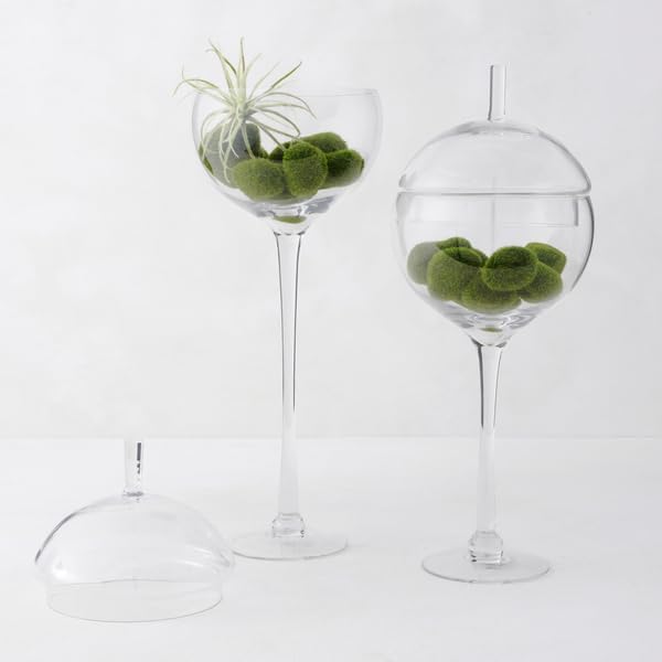 Miniatura 2 de Z Gallerie Cloche Jules de cristal soplado  Decoración de mesa para el hogar para oficina, estante, mesa, dormitorio, baño, 24 pulgadas