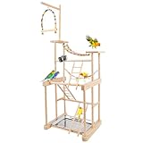 Chuiendi Bird Playground 4 Layer, Parrot Playground Bird Play Stand for Parakeet Conure Cockatiel Lovebird Budgie, Parrot Playstand with Feeder Cups, Ladder, Chain Toy, Swing and Detachable Tray