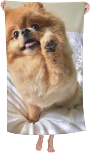 킢 |jA (1) oX^I }CNt@Co[ z  ϋv lC  ӂӂ G oX^I 唻 uԋz RۖhL rbO ƒp Ɩp