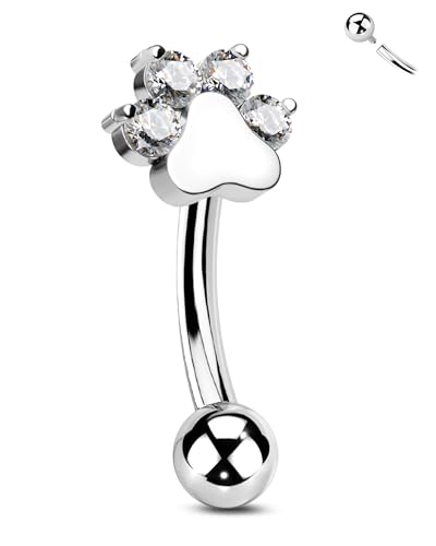 CM Crareesi Mania Rook Piercing Jewellery G23 Titanium Eyebrow Bar Curved Barbell Helix Cartilage Earring 16G Vertical Labret Lip Bars Internally Threaded Daith Tragus Jewelry Clear CZ for Women 6mm