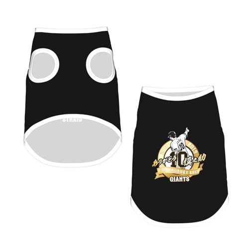 _^CK[X ybg  ̕ ėp sVc 񂱕 L̕ L EFA m ybgEFA WPbg o E₷ ybgpi U o Ȃ ʋC t H