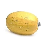Fresh Produce, Squash Spaghetti