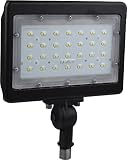Satco Nuvo 65/538 LED Large Flood Light,Bronze