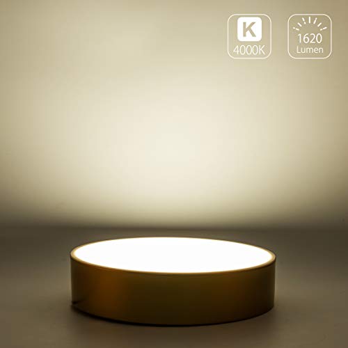 Lanros Modern Gold Flush Mount LED Ceiling Light Fixture, 13.8-inch Simple Drum Ceiling Lighting with 4000K Neutral White for Dormitiry Hallway Bedroom Foyer Kitchen,18W, 1530LM, Non Dimmable