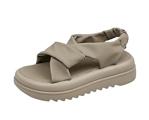 [le] T_ fB[X X|[cT_ ₷  JWAT_ y puU[ EFbW\[ V[Y \tg  ČC AEghAO[24.5