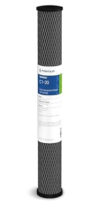 Pentair Pentek C1-20 Carbon Water Filter, 20-Inch, Whole House Dual Purpose Powdered Activated Carbon-Impregnated Cellulose Replacement Cartridge, 20" x 2.5", 5 Micron