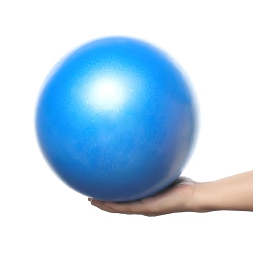 SWINILAYA Redondo Ball 25 cm - Pelota De Ejercicios De Yoga Y Pilates De para Entrenamiento De Equilibrio De Estabilidad para Entrenamiento De Núcleo