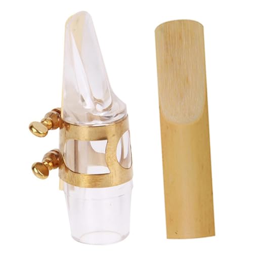 1 Zbg X}EXs[X XAg Nlbg̃[h NlbgX^h y Ag X }EXs[X ̂߂̂̃gybg  Abaodam