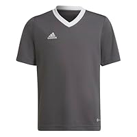 adidas Unisex Kinder Entrada 22 Jersey, Team Grey Four, 7-8 Years