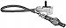 Airtex 5S3164 Auto Part