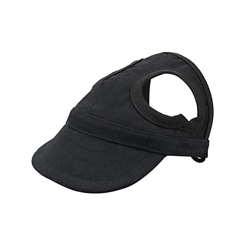  Xq Lbv  싅X Ăh~ O΍ ^ ^ ^ hbNEFA C o U (S,ubN)