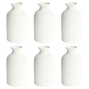 YANLING 6 Pack White Vase Small Ceramic Vases for Decor, White Vases for Flowers Boho Vase for Home Decor, Pampas Grass Vases Dried Flowers Vases
