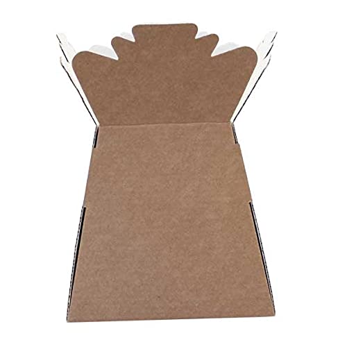 Floralcraft Natural Hand-Tied Vase Florist Bouquet Box, Presentation/Transporter Box/Flower Plant Aqua Boxes, (Pack of 30)