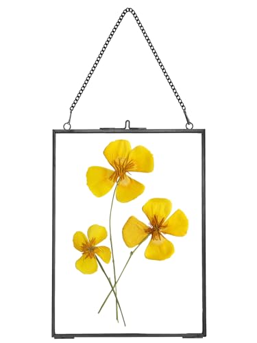 REDHUGO Hanging Pressed Flower Frames, Double Glass Floating Picture Frame