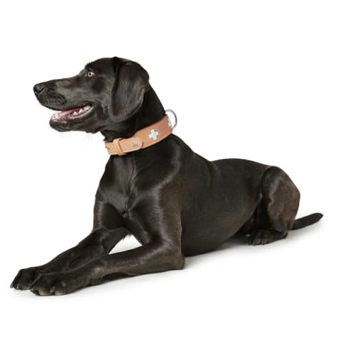 HUNTER Hundehalsband SWISS, Farbe: natur/beige, hochwertiges Rindsleder, handgenäht, schweizer Kreuz, elegantes Design, angenehm weich, komfortabel, langlebig, Made in Germany, Größe: 37