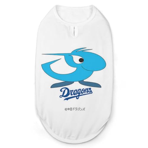 hSY킢hhʋCxXglG܁X̂oɕ֗ȌLłBS