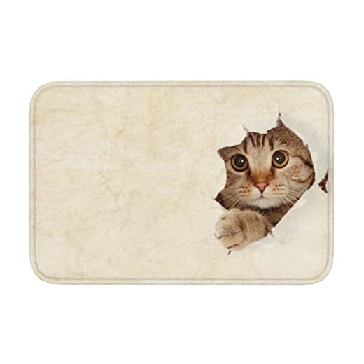 Felpudos 40x60cm, Lindo Gato Vintage Mirando hacia Un Agujero De Papel Roto Felpudos para Entrada De Casa Antideslizante Alfombra Limpia, para Bañera, Ducha, Pasillo, Salon
