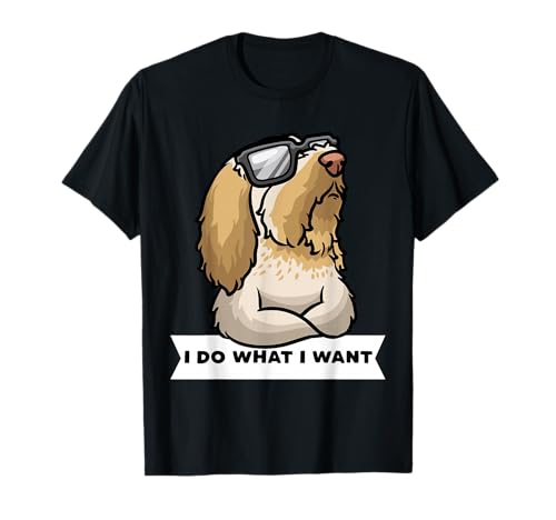 Spinone Italiano Stubborn Dog Italian Spinone Bracco Spinoso T-Shirt