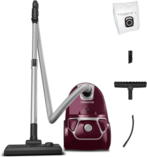 Rowenta Compact Power, Aspirador Trineo con Bolsa, 3 Acc (Especial Coche)