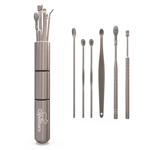 Capeebara - Coton-Tige Lavable en Inox - Nettoyeurs Oreille Réutilisable - (Argent) (Kit de 6) Cover