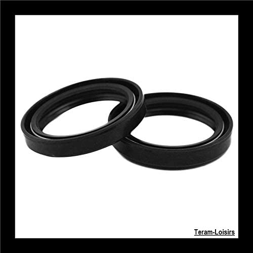 TERAM LOISIRS Joints Spy Fourche + Cache Poussière pour Yamaha FJR 1300 de 2001 à 2012 NEUF FRANCE